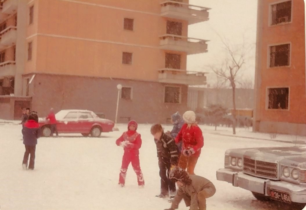 Galeriebezeichnung 1980-1981 Bildnummer 9 Bild