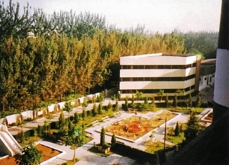 Galeriebezeichnung 1990-1991 Bildnummer 2 Bild