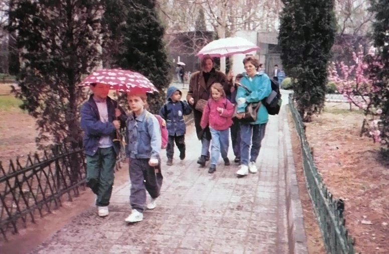 Galeriebezeichnung 1990-1991 Bildnummer 36 Bild