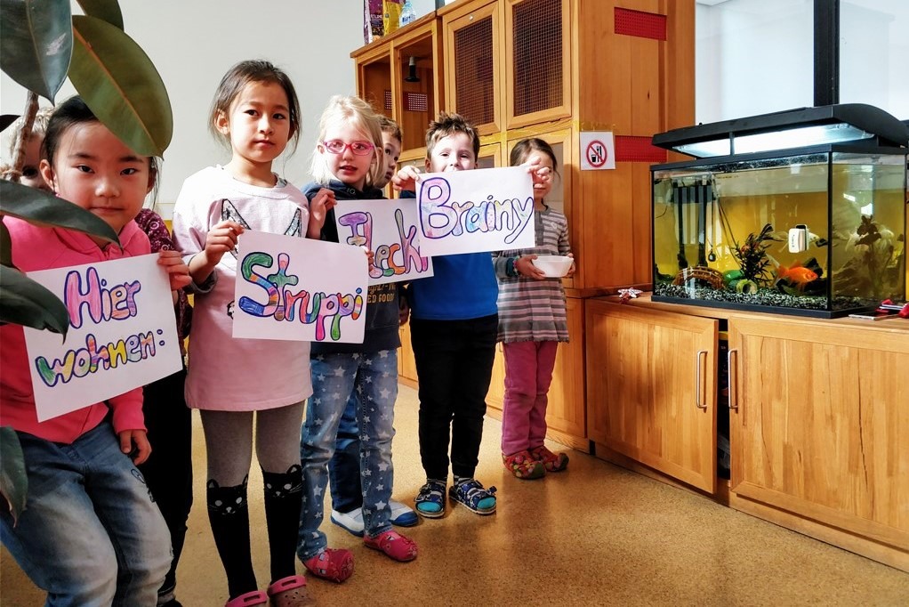 Galeriebezeichnung 2017-2018 Bildnummer 112 Bild
