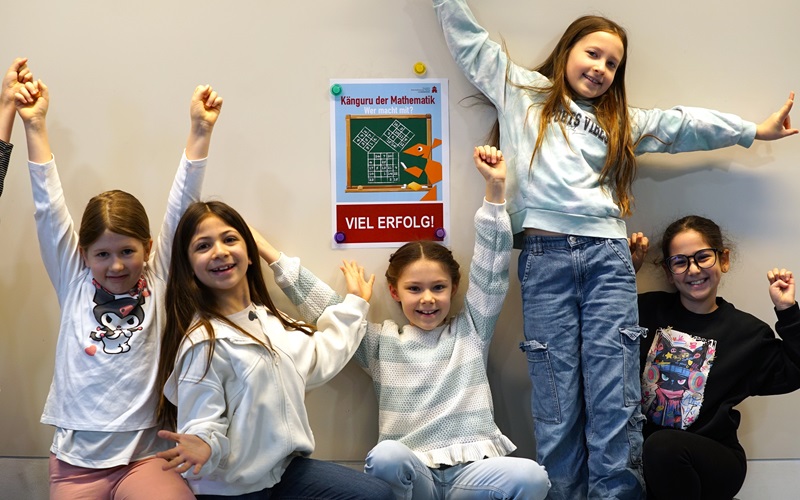 Das K�nguru der Mathematik besucht die DSP