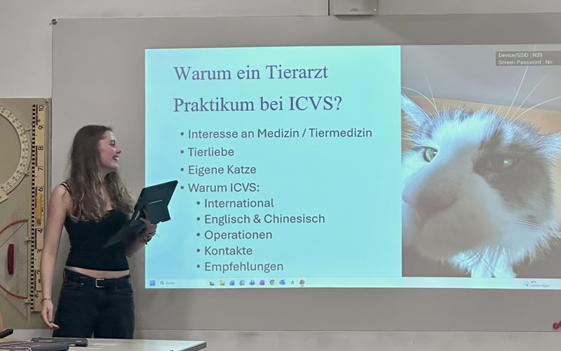 Einblicke in die Berufswelt